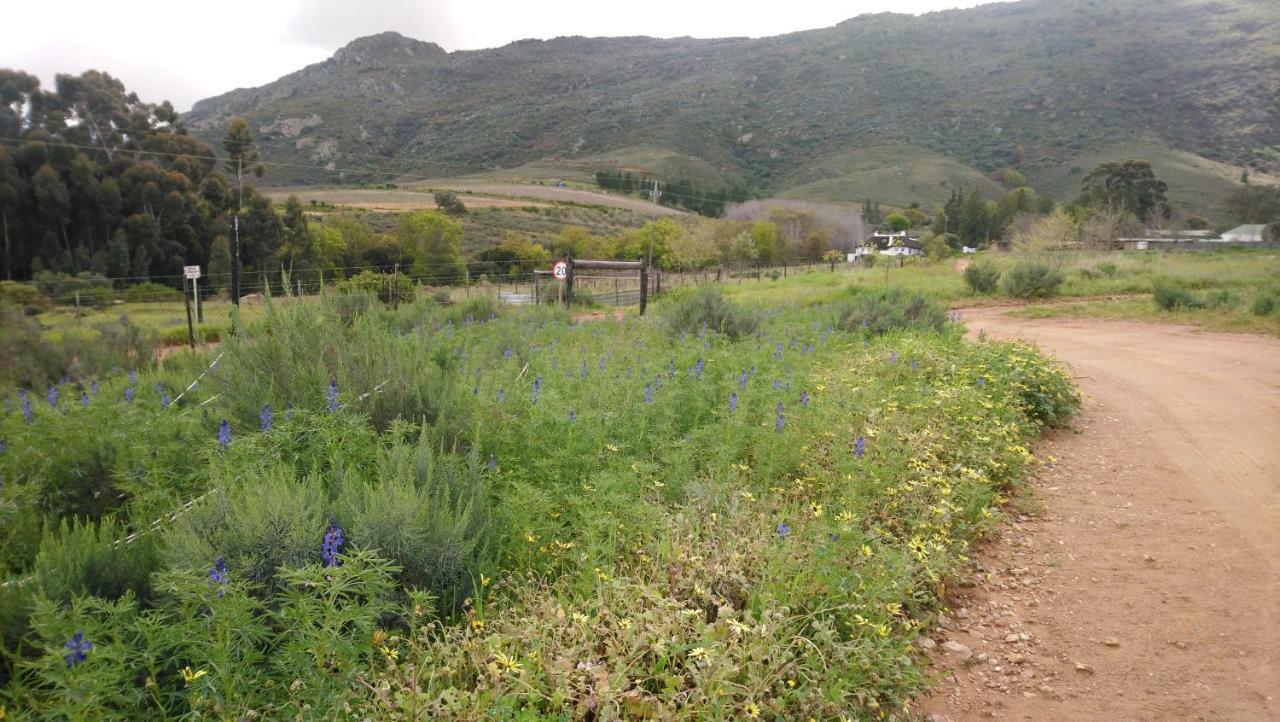 Brambleberry Farm Villa Riebeek-Kasteel Buitenkant foto